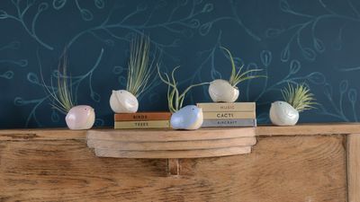 2000px Habulous, Ceramic Bird Airplant Holders, £27.5, 7913006.jpg