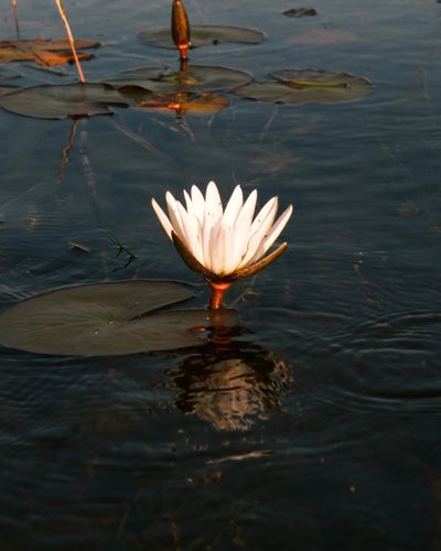 DSCF0583.jpg