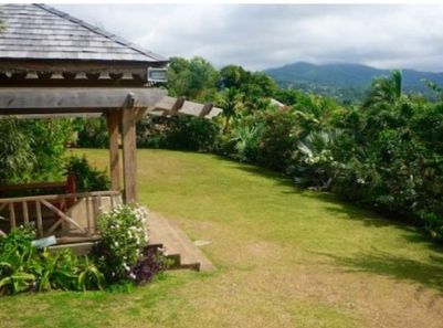 GRE - Palm Tree Garden  - Copy.jpg