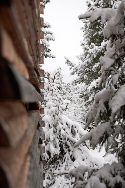 OdlesLodge-Nature-Winter-©Odles Lodge_Konstantin Volkmar (16).jpg