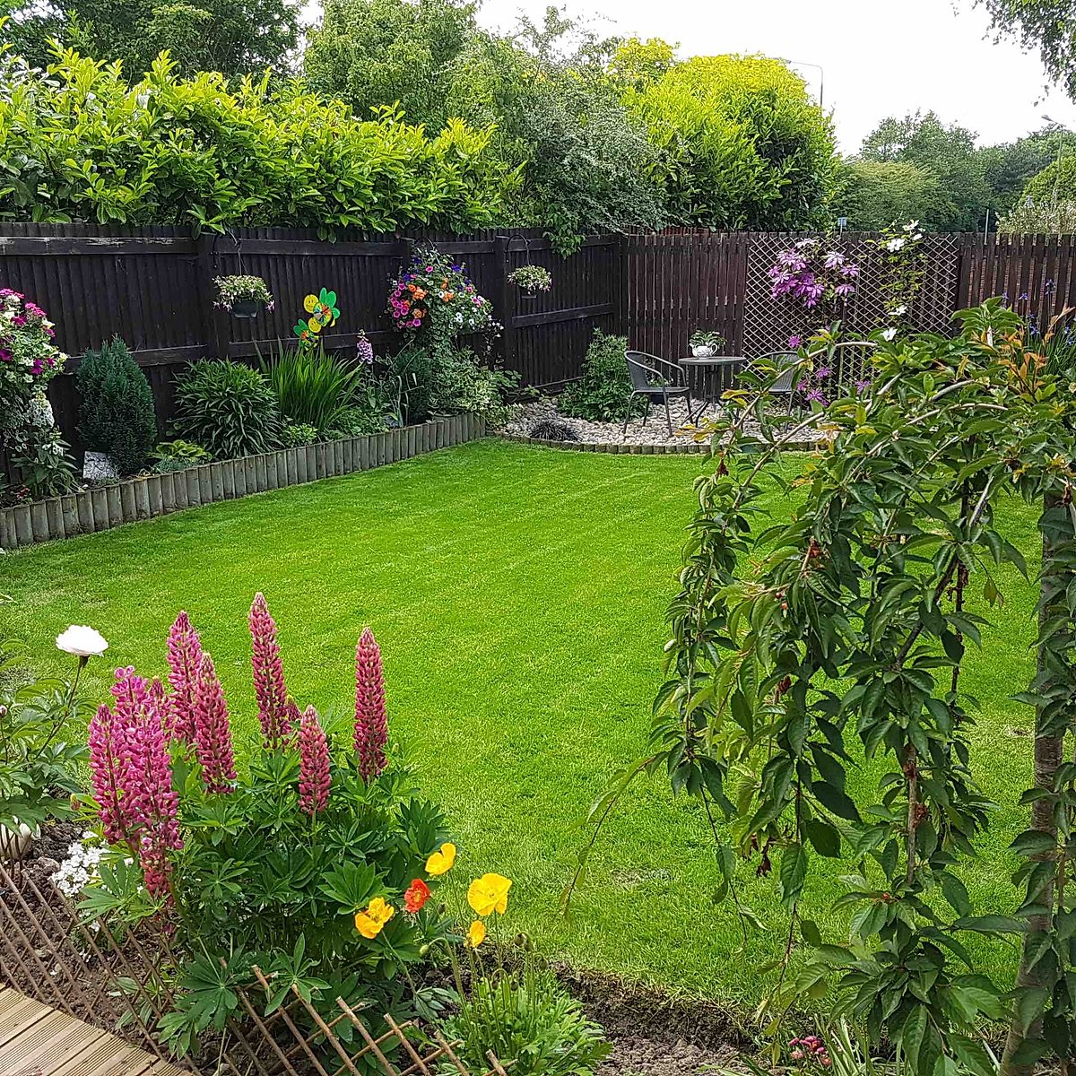 Consumer lawn image.jpg