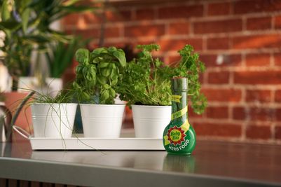Baby Bio® Herb Food