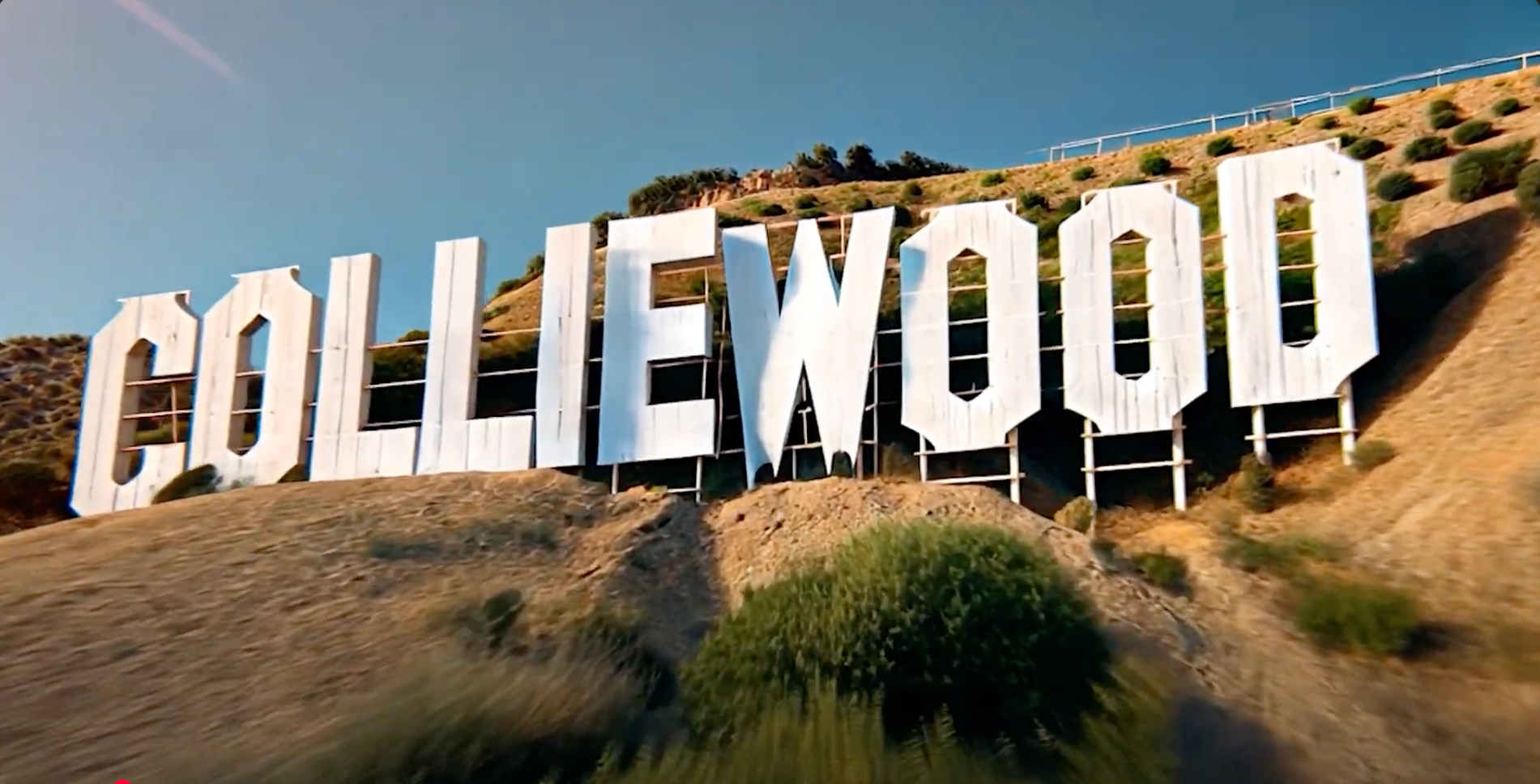 Colliewood - from where celebrity news wings its way on the Dogcast - the first-ever podcast by dogs, created by Border Collie Trust GB