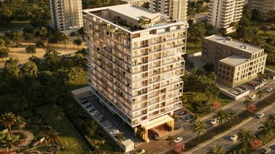 RIVO by Grovy 