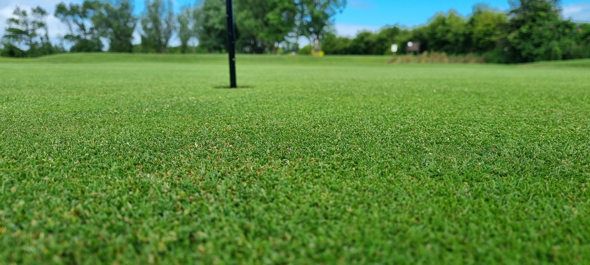 Max Smith, Brean Golf Club