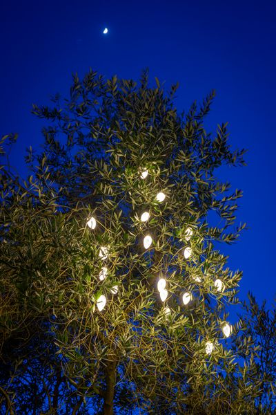 Retro pine cone light string 1.jpg