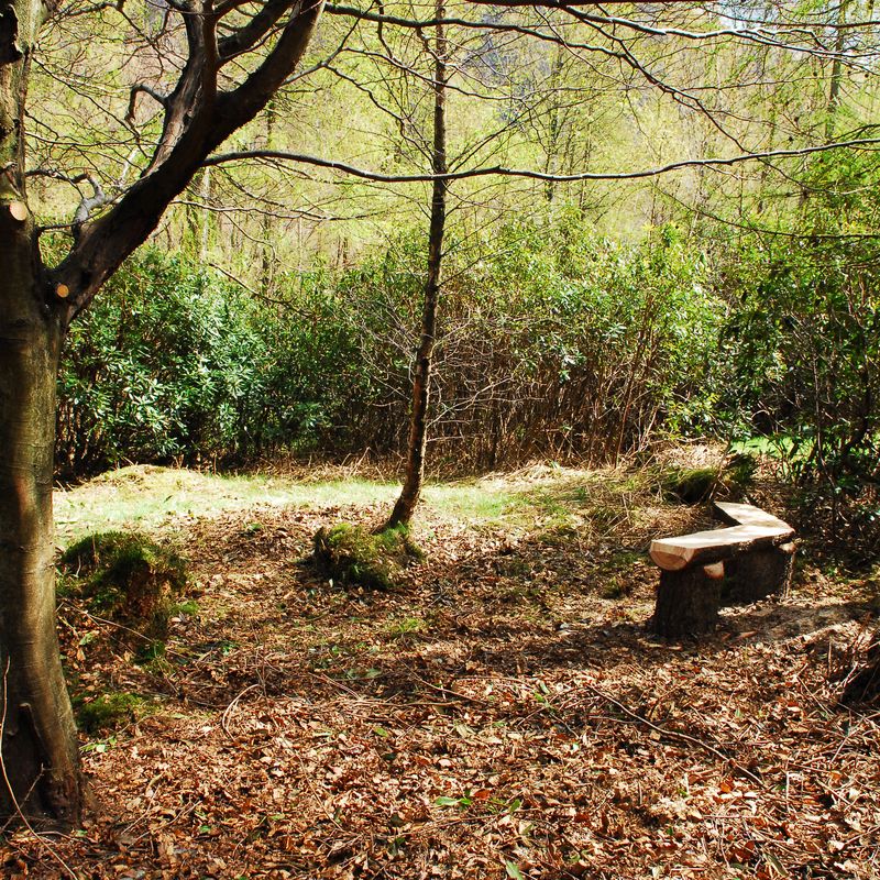 Woodlands.co.uk                                                                                                      