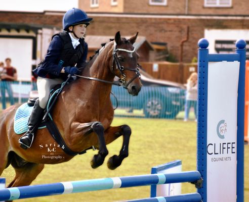 Show Jumping Arena - Start