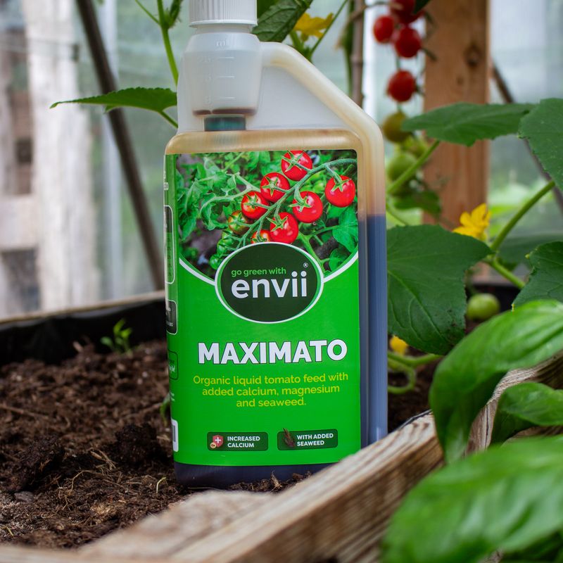Envii Maximato