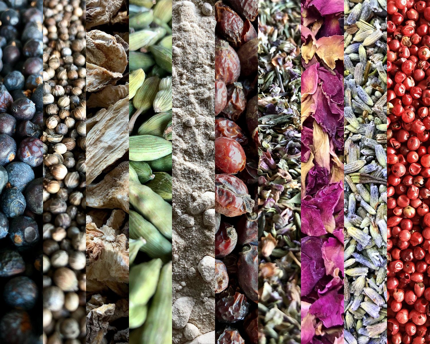 Nantwich Gin botanicals