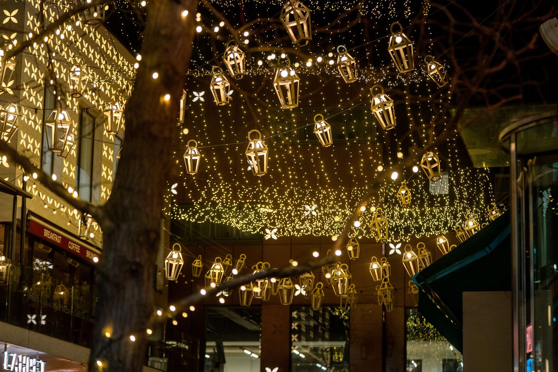 PinPep_TheYardsXmasLights_SJ_203.JPG