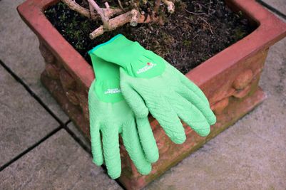 Master Gardener Lite