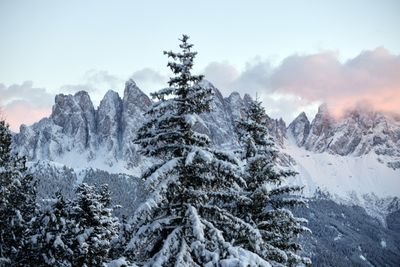 OdlesLodge-Nature-Winter-©Odles Lodge_Konstantin Volkmar (6).jpg