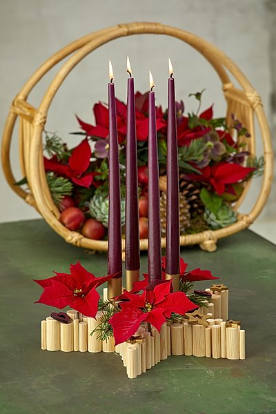 2022_poinsettia_02120_DIY_Wooden_Star_for_Advent_05.jpg