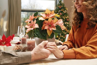 2020_poinsettia_05100_Christmas_Romance_01.jpg