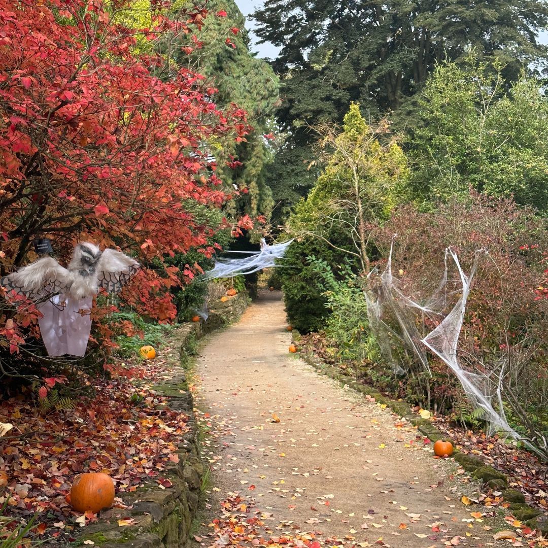 Halloween Trail Leonardslee.jpg