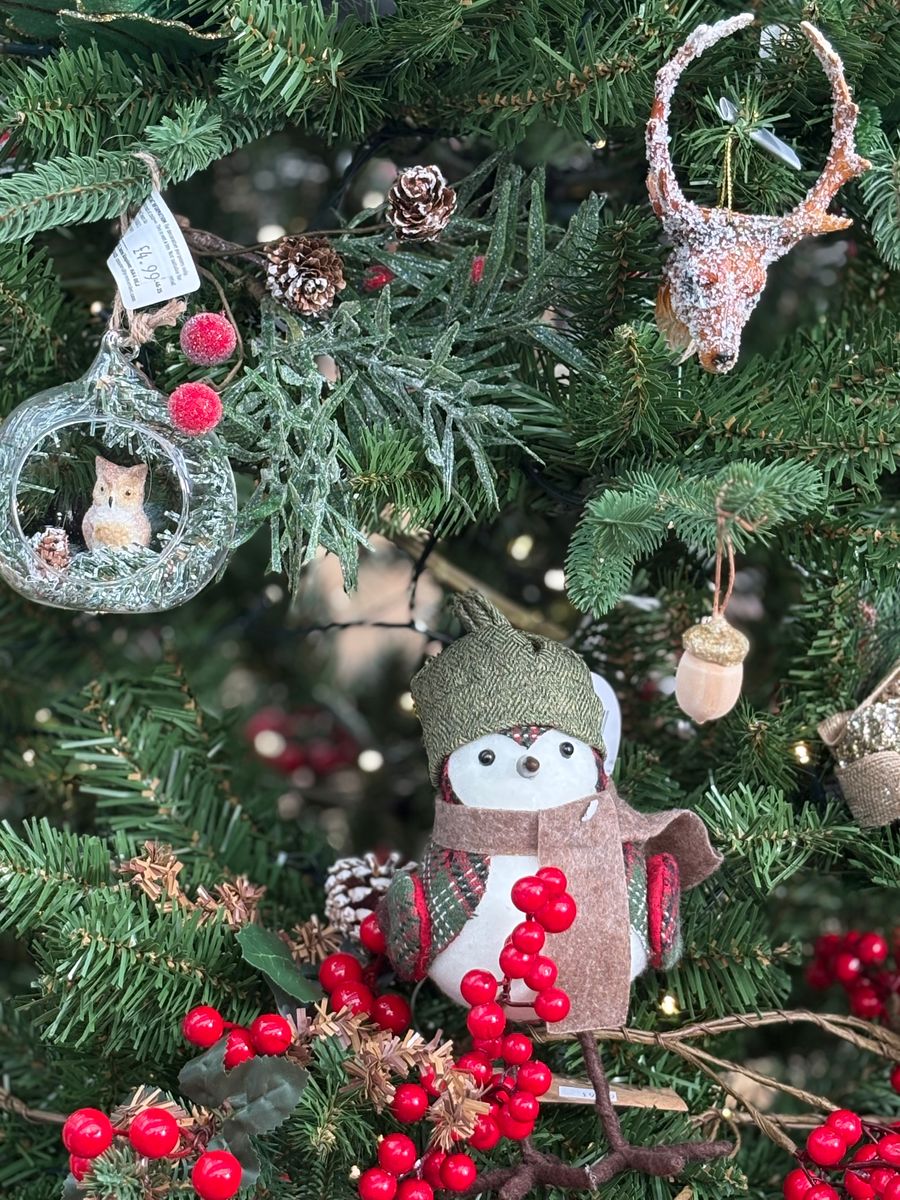 Hillier Garden Centres and Nurseries - Christmas 2025