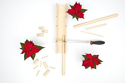2022_poinsettia_02120_DIY_Wooden_Star_for_Advent_02.jpg