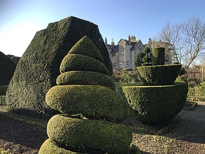 The world's oldest topiary garden at Levens Hall and Gardens, UK.