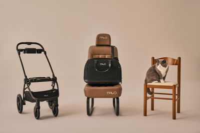 Hendrick Pet Car Seat & Carrier