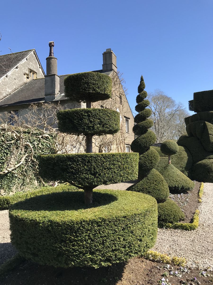 Topiary at Levens Hall, Cumbria, UK