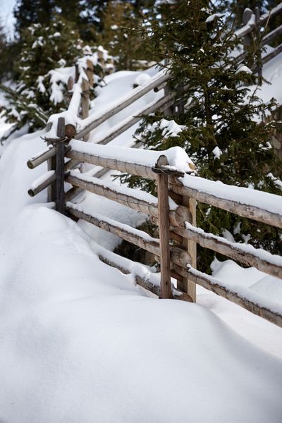 OdlesLodge-Nature-Winter-©Odles Lodge_Konstantin Volkmar (12).jpg