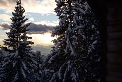 OdlesLodge-Nature-Winter-©Odles Lodge_Konstantin Volkmar (28).jpg