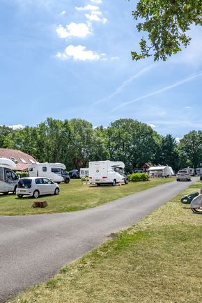 horsley-camping 1.jpg