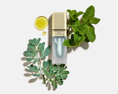 Mint Oil Lip Plumper