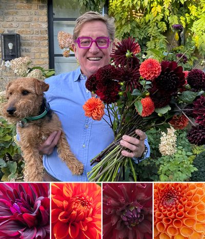 Johnnie Boden Collage - Jonathan  Buckley credit.jpg