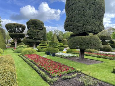 Part of the topiary garden at Levens Hall and Gardens, Cumbria