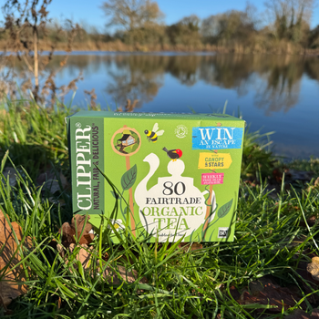 Clipper Organic and Fairtrade tea 80s - Canopy and Stars.JPG