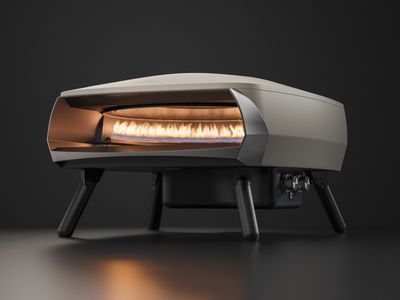 Witt ETNA Rotante Pizza Oven                                                       