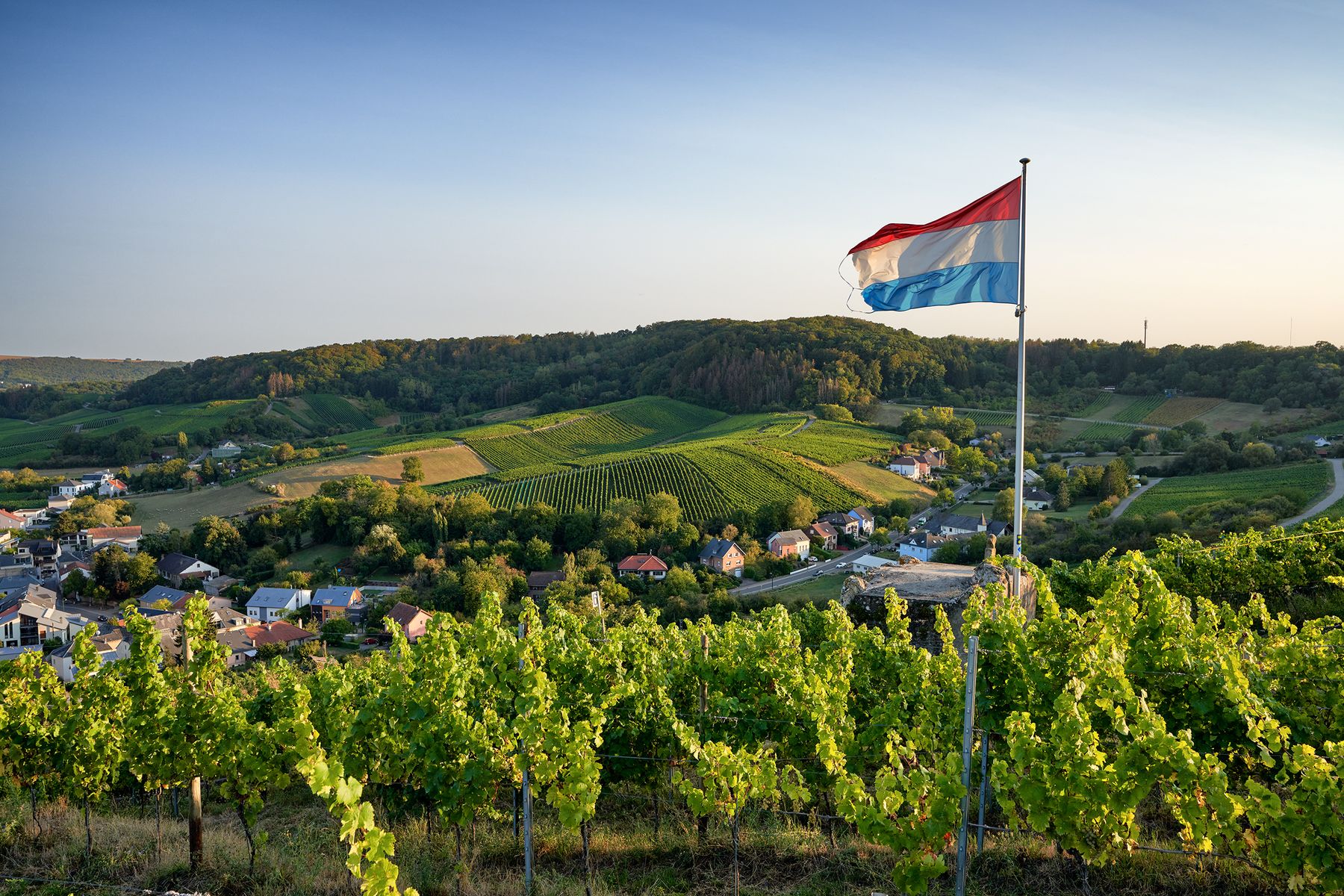 Remerschen-2020-CA42-Terroir-Moselle-Christophe-Arnoldi.jpg