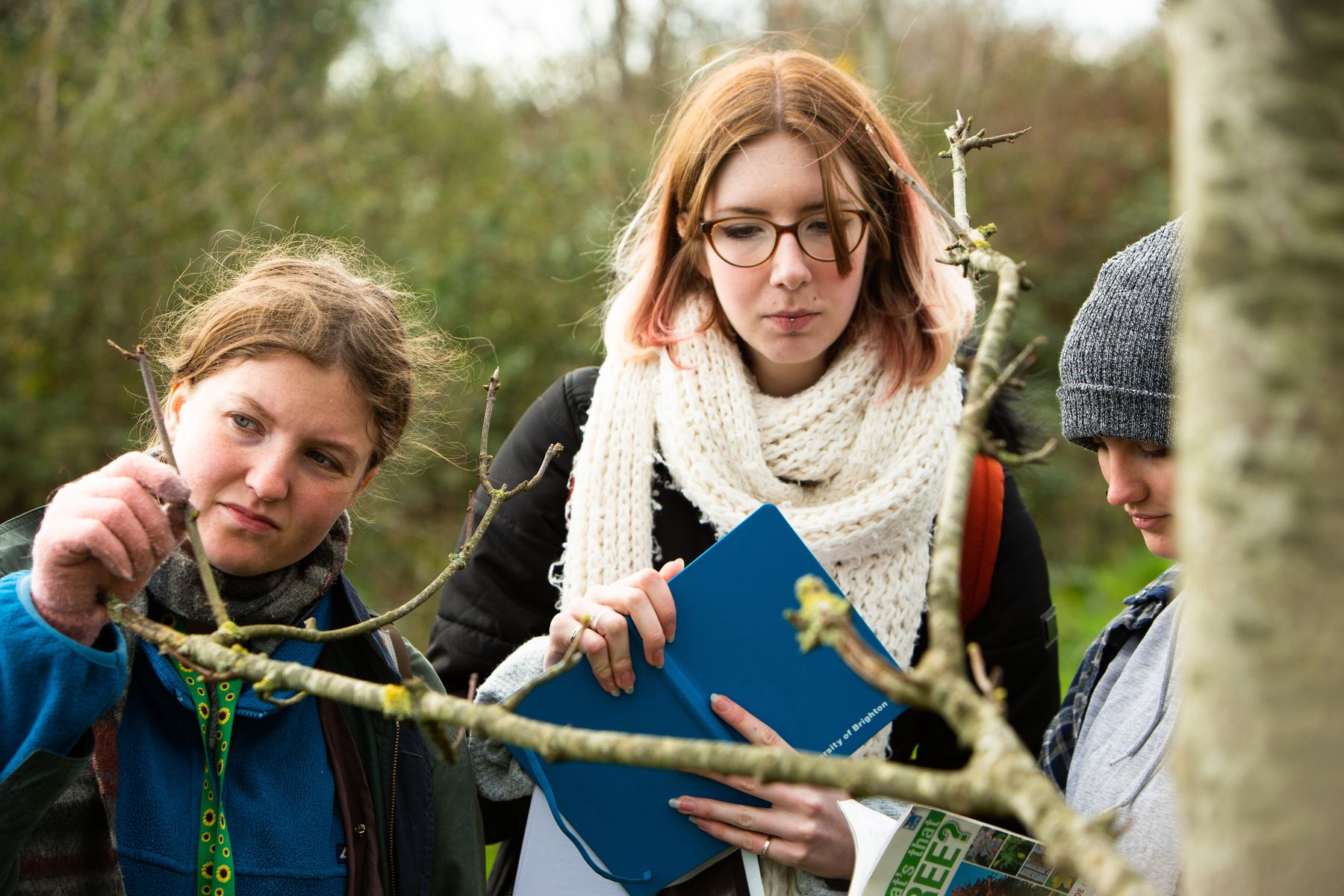 Trees for Climate Action (1).jpg