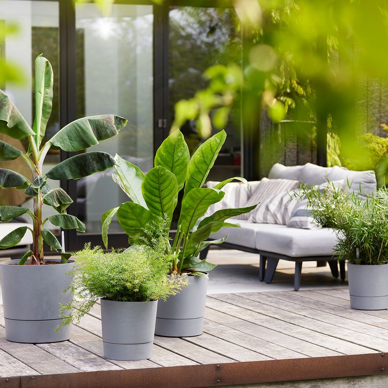 greensense aqua care
