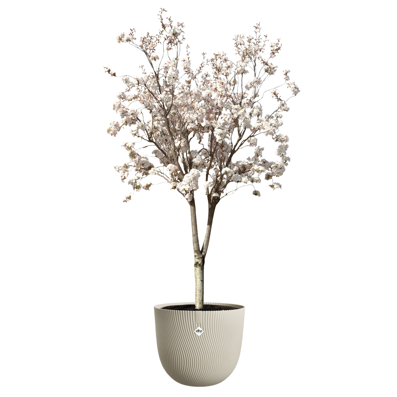 sereh - mushroom beige
