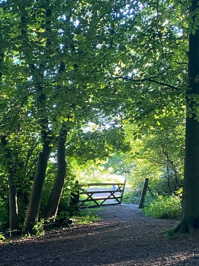 Langley Wilding Campsite 7.jpg