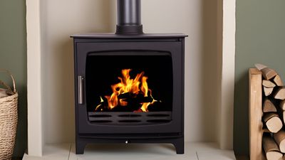 2000px Suggested Header Renaissance At Home, Carron 8kW ECO 2022 Revolution Woodburning Stove, £695, 8565207.jpg