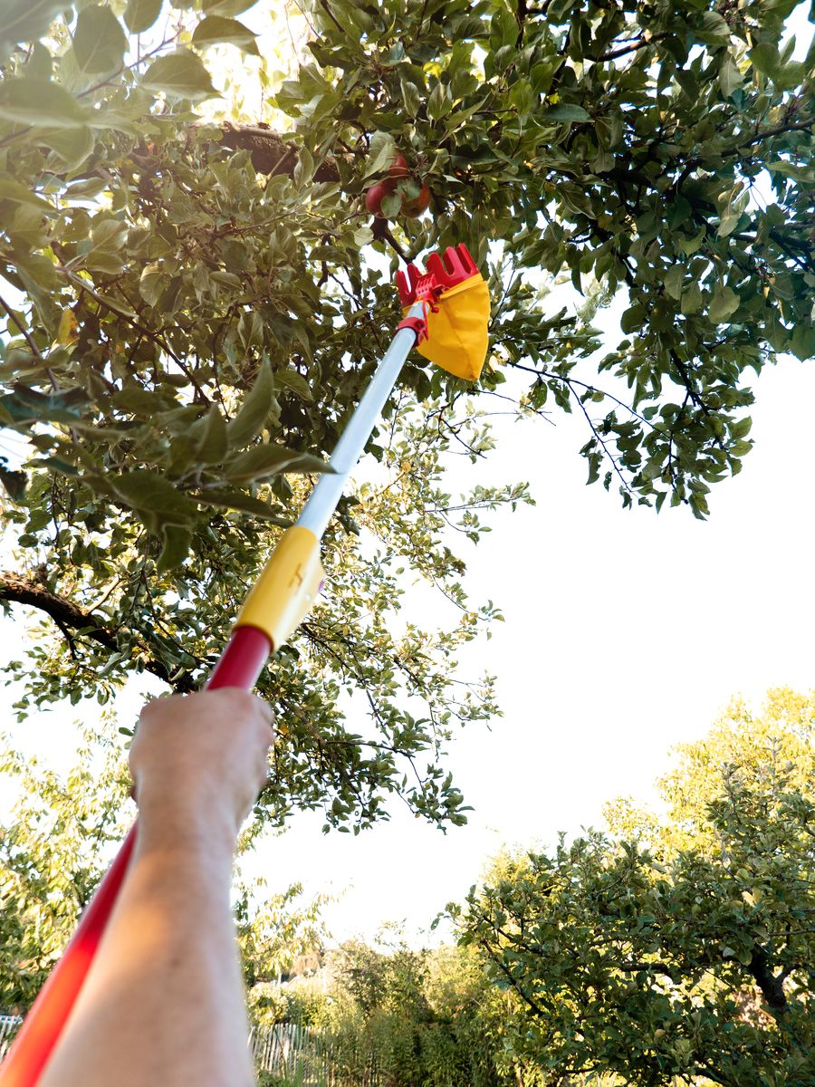 WOLF-Garten Multi-change Adjustable Fruit Picker