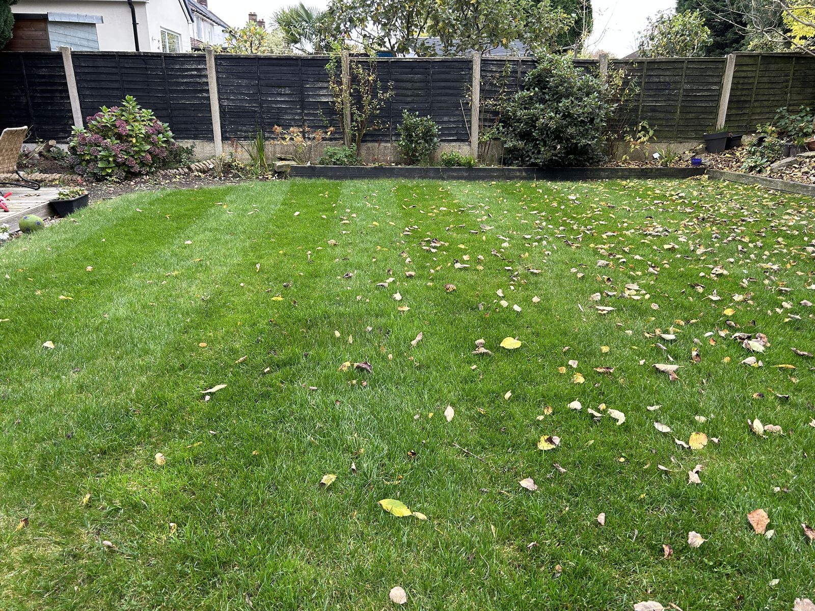 The Relentless Gardener