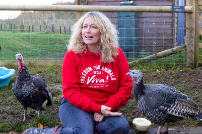 Juliet at Dean Farm, 2024