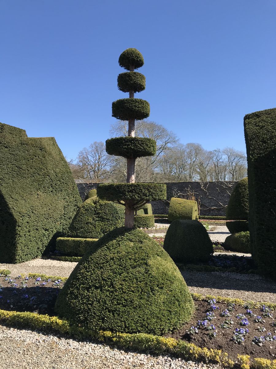 Topiary at Levens Hall, Cumbria, UK