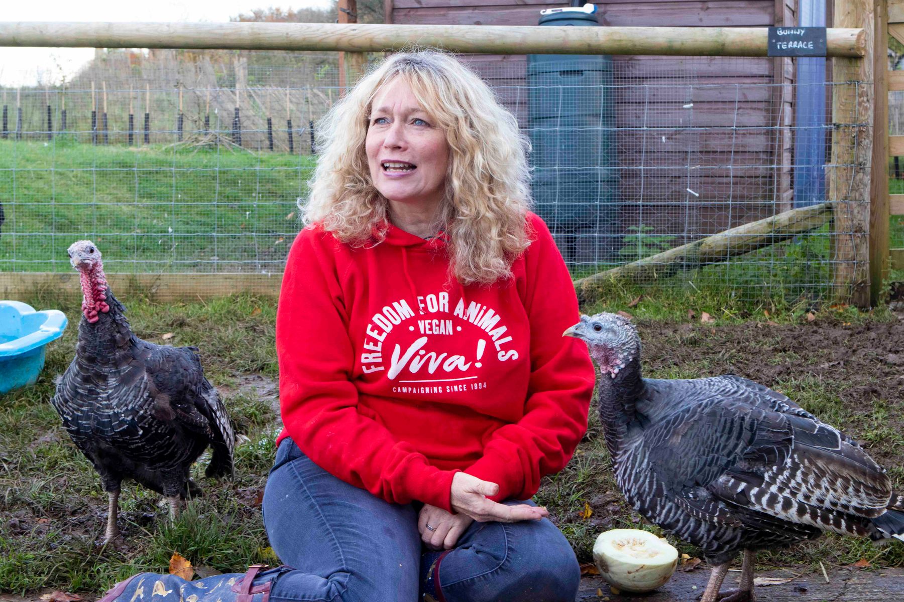 Juliet at Dean Farm, 2024