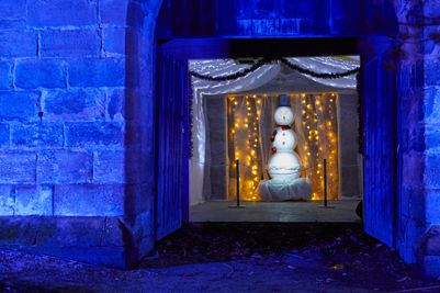 AlnwickGarden_Christmas2019 10 Full.jpg