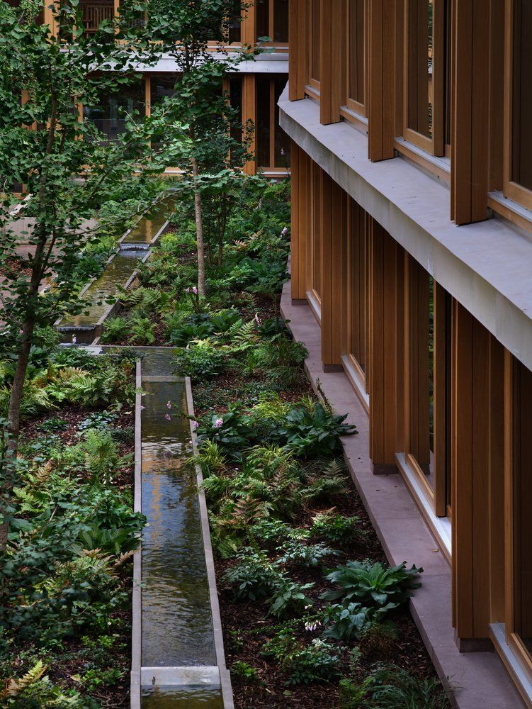 4. pic 13.jpg