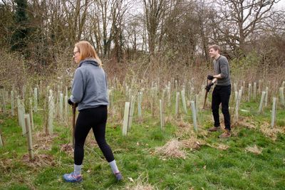 Ecotone employees take Green Leave to plant 1,000 trees at Shinfield St. Mary’s School in Reading with The Tree Council, photo credit - Simon Murrell photography (6).jpg