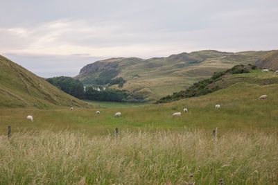 St Abbs_Coastal (2).jpg
