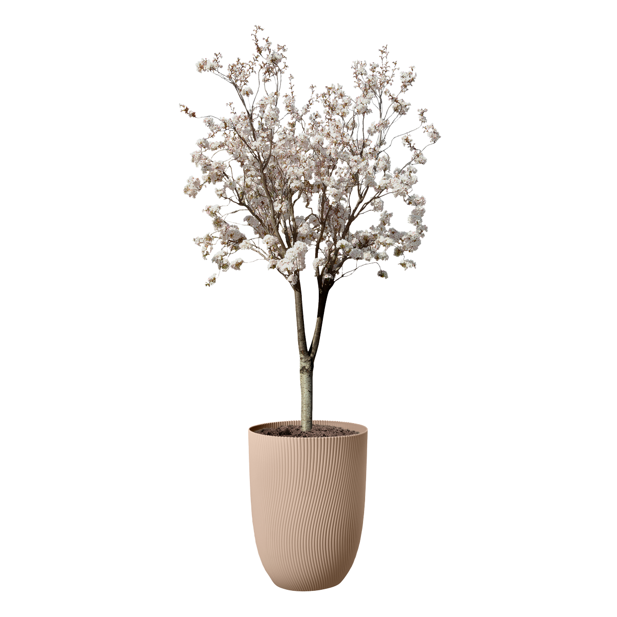 sereh high 40cm - cool clay