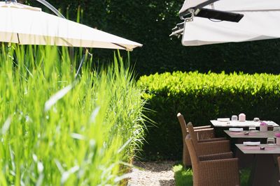 Jardin d´Anais5.jpg
